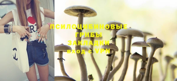 гидра Балахна