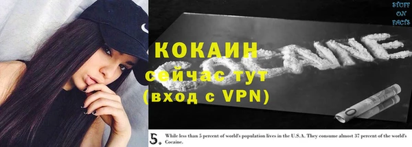 стафф Семёнов